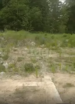 Участок в Брянская область, Жуковский муниципальный округ, с. Ржаница ...