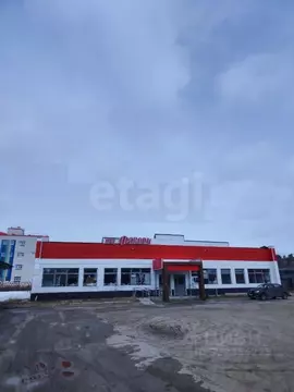 Помещение свободного назначения в Ямало-Ненецкий АО, Муравленко ...