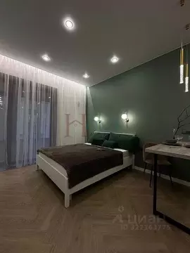 Студия Новосибирская область, Новосибирск Красный просп., 220 (29.0 м)