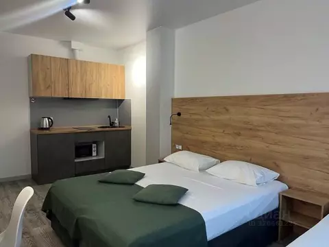 1-к кв. Краснодарский край, Сочи ул. Яна Фабрициуса, 7 (30.0 м)