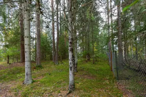 Участок в Ленинградская область, Выборгский район, Первомайское с/пос, ...