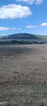 Участок в Крым, Бахчисарайский район, Ароматненское с/пос  (3.0 га.)