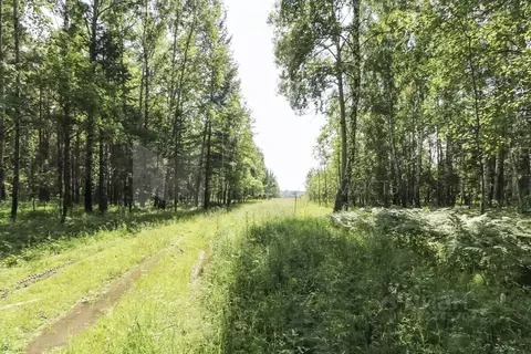 Участок в Тюменская область, Нижнетавдинский муниципальный округ, д. ...