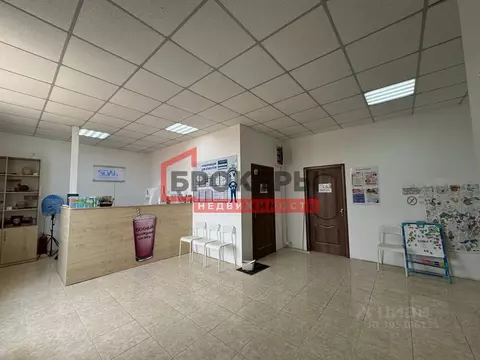 Помещение свободного назначения в Севастополь просп. Победы, 1А (77 м)