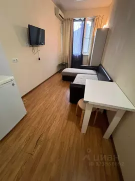 Студия Краснодарский край, Сочи Виноградная ул., 195/8 (22.0 м)