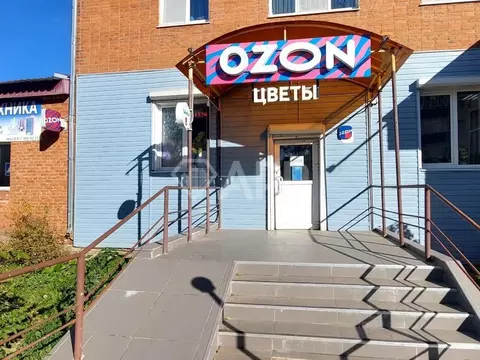 Помещение свободного назначения в Татарстан, Агрыз пер. Максима ...