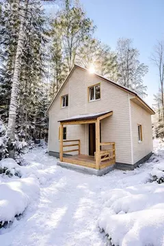 Дом в деревня Борисова Грива, Центральная улица, 54 (98.6 м)