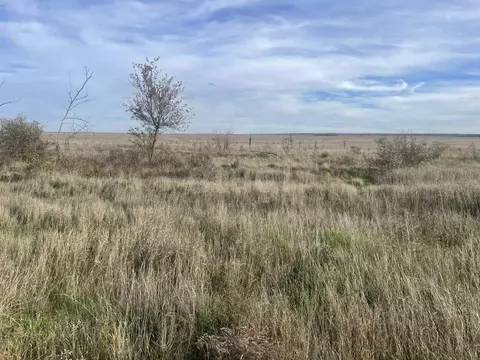 Участок в Крым, Ленинский район, Белинское с/пос, с. Новоотрадное ул. ...