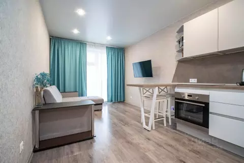 Студия Новосибирская область, Новосибирск ул. Забалуева, 88 (24.7 м)