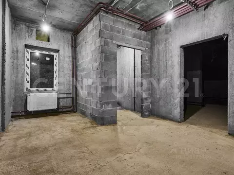 Помещение свободного назначения в Санкт-Петербург пос. Шушары, просп. ...