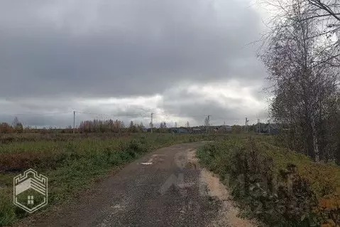 Участок в Новгородская область, Новгородский район, Савинское с/пос, ...