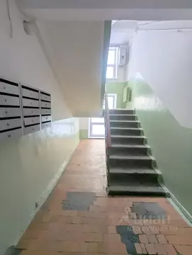 3-к кв. Челябинская область, Челябинск ул. Свободы, 155Б (55.0 м)