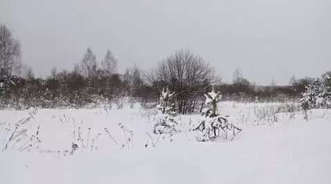 Участок в Московская область, Егорьевск муниципальный округ, д. ...