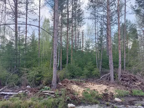 Участок в Ленинградская область, Выборгский район, Гончаровское с/пос, ...