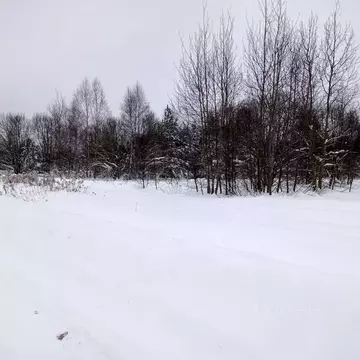 Участок в Московская область, Егорьевск муниципальный округ, д. ...