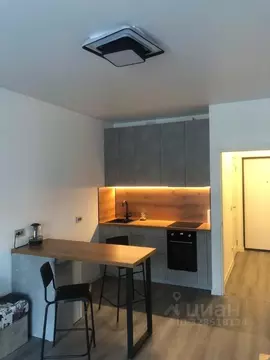 Студия Санкт-Петербург просп. Ветеранов, 210 (28.0 м)