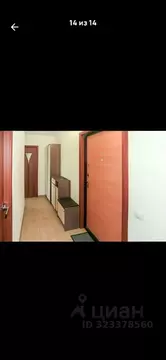 2-к кв. Алтайский край, Барнаул ул. Попова, 88 (45.0 м)