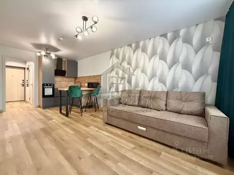 Студия Красноярский край, Красноярск Соколовская ул., 64 (27.6 м)