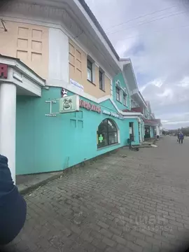 Торговая площадь в Московская область, Дмитров Загорская ул., 34А (150 ...