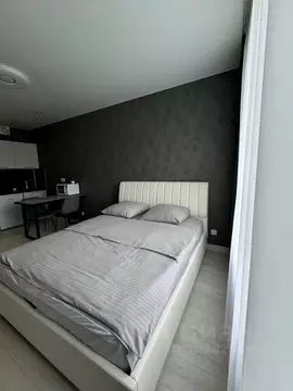 Студия Пензенская область, Пенза ул. Стасова, 2А (27.0 м)