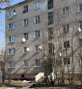 Студия Московская область, Солнечногорск городской округ, Менделеево ...