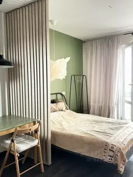 Студия Санкт-Петербург просп. Ветеранов, 183 (23.0 м)