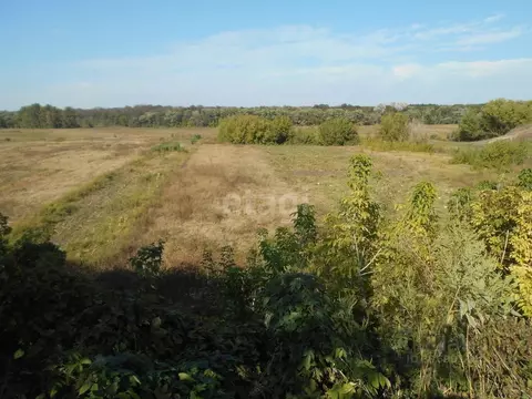 Участок в Белгородская область, Корочанский район, Яблоновское с/пос, ...