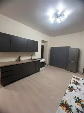 1-к кв. Санкт-Петербург Выборгское ш., 23к2 (50.0 м)