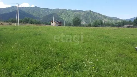 Участок в Алтай, Чемальский район, пос. Усть-Сема ул. Центральная, 6 ...