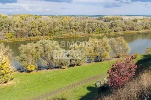 Участок в Липецкая область, Задонский район, Донской сельсовет, с. ...