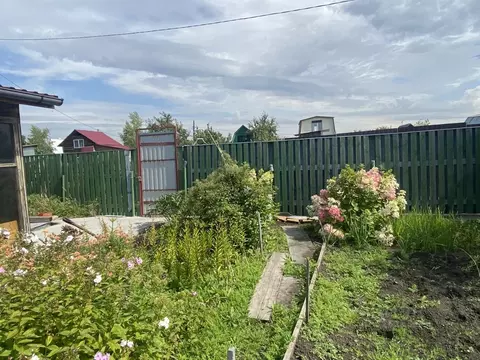 Дом в Омская область, Омск Нефтяник СНТ, 770 (12 м)