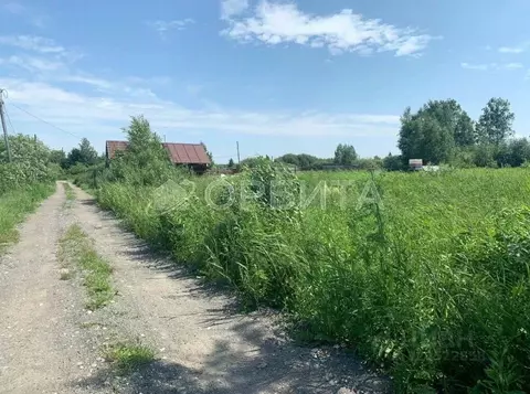 Участок в Тюменская область, Нижнетавдинский район, Строитель ТСН  ...