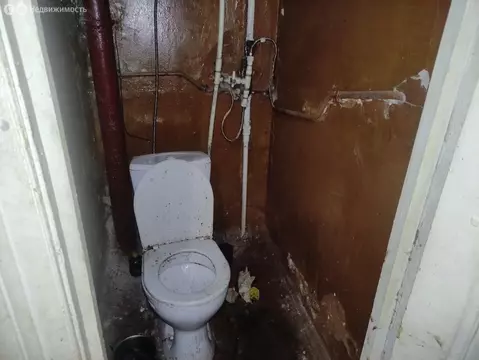 1к в 3-комнатной квартире (15.5 м)