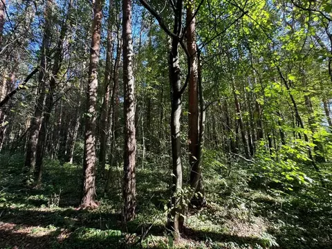 Участок в Московская область, Наро-Фоминск ул. Володарского (13.0 ...