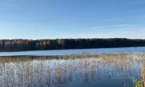 Участок в Псковская область, Печорский муниципальный округ, Лесицкое ...