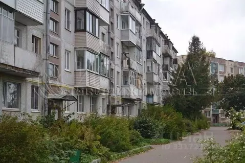 2-к кв. Ленинградская область, Лужский район, пос. Скреблово 3 (44.0 ...