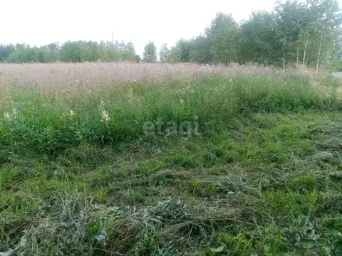 Участок в Ярославская область, Ярославский муниципальный округ, Живой ...