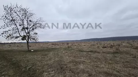 Участок в Адыгея, Майкопский район, Победенское с/пос, Причтовский ...