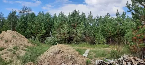 Участок в Тюменская область, Нижнетавдинский муниципальный округ, д. ...