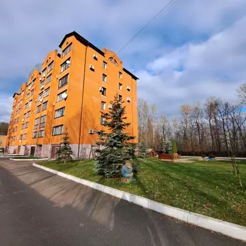 1-к кв. Брянская область, Брянск Бежицкая ул., 8к2 (44.1 м)