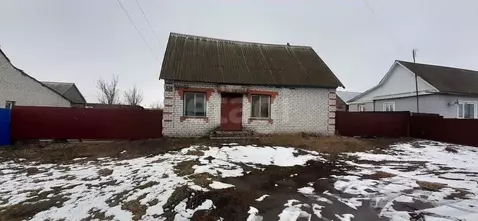 Помещение свободного назначения в Брянская область, Брасовское с/пос, ...