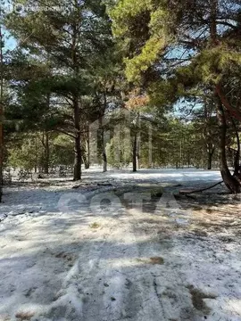 Участок в Воронеж, улица Генерала Шатилова (7.5 м)