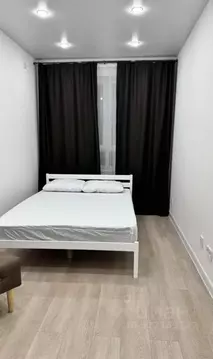 1-к кв. Пензенская область, Пенза ул. Яшиной, 4 (30.3 м)