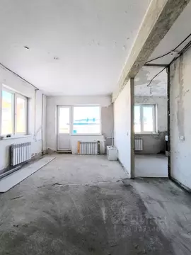 1-к кв. Омская область, Омск пос. Амурский, ул. Багратиона, 11Б (30.9 ...