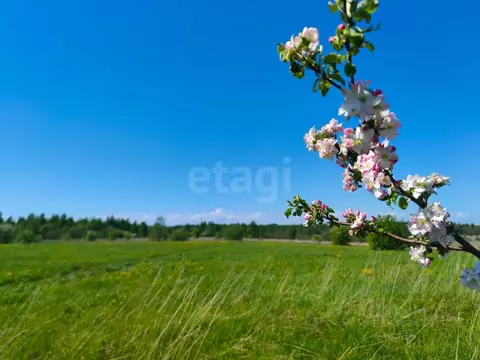 Участок в Вологодская область, Череповецкий район, Югское ...