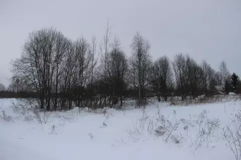 Участок в Московская область, Шаховская муниципальный округ, д. Ржищи  ...