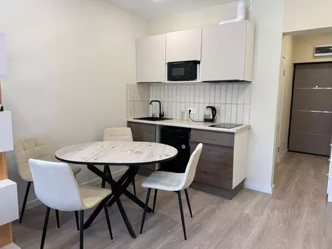 Студия Краснодарский край, Сочи ул. Искры, 88к3 (27.6 м)