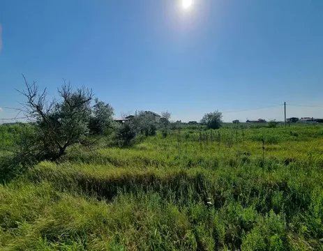 Участок в Ростовская область, Азовский район, Елизаветинское с/пос, ...