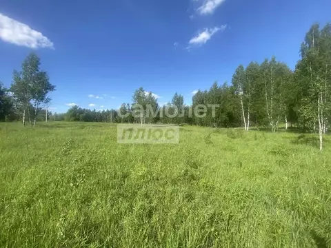 Участок в Алтайский край, Первомайский район, с. Фирсово Цветочная ул. ...