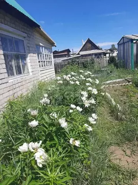 Участок в Забайкальский край, Чита № 29 Лесная Поляна ДНТ,  (5.91 ...